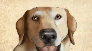 Jessi & Andi, una pel&iacute;cula de Mutual Rescue (subt&iacute;tulos en espa&ntilde;ol)