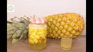 Probiótico de Abacaxi (Compacto) - Chef Ana Lemgruber (2025)