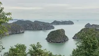 Cat Ba Archipelago and the endangered Langur - Exploring Vietnam