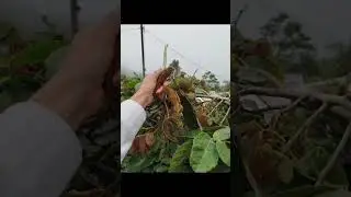 maravillosa naturaleza