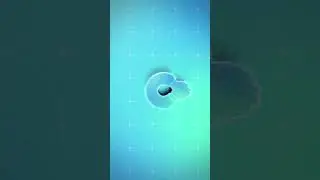 Bereket Goitom/በረኸት ጎይትኦም- Eritrean Guayla New 2022/2023