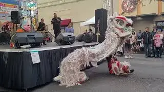 Tucson Hung Gar Wing Chun Club 图桑洪家詠春拳會 3 TMY Lion Dance 2022
