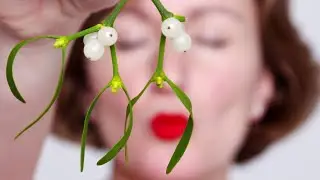 The Basics: Mistletoe | WebMD