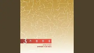 ילכו מחיל אל חיל