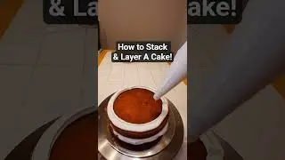 Decorating 101: How to Stack and Layer a Cake! Beginner Friendly!