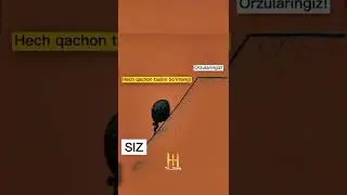 HECH qachon TASLIM BO'LMANG❗💥 Motivatsion video #shorts #motivatsiya #aforizmlar