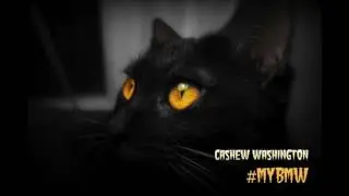 Cashew Jingleton - My BMW (official audio) Prod. AXSTHXTIC
