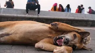 Street Photography POV | Mumbai, India | Part 2