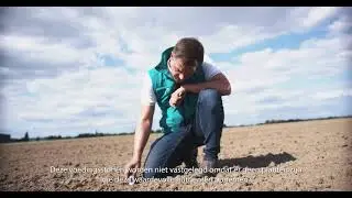 TerraLife®, soortenrijke groenbemesters | DSV zaden Nederland