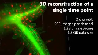 da-cons - description of the 3D light sheet microscope