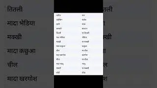 CTET HINDI PRACTICE SET | STIRLING PULLING IN HINDI |