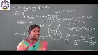 Matriculation - Class - V - Science - Plants - Increasing the Numbers.