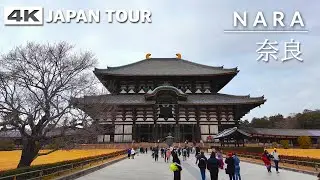 Japan Walk Through | Todaiji Temple in Nara - 4K