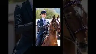 If you think you know your Bestie which discipline would they pick? #horses #equestrian ￼