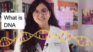 Extracting DNA From Strawberries