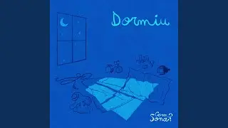 Dormiu