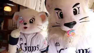 Saitama Seibu Lions Mascot's Kawagoe Adventures: Eat Your Way Through Penny Candy Lane!