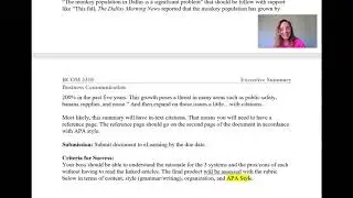 Executive Summary Assignment
