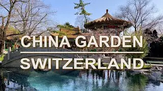 China Garden on Lake Zurich - Attraction in Zurich - Switzerland, 4K