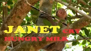 P:5 JANET CRY CUZ HUNGRY NEED MILK , JANE WEANING HER SISTER TILL CRY NEED MOM |