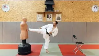 Wado Ryu   Sokuto geri coup de pied latéral