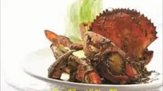 The Crabby Crab Song (Japanese version, 源创歌曲)