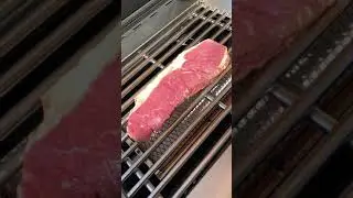 Broilchef Paramount 540