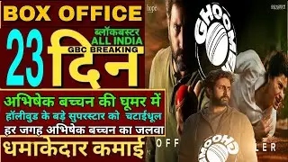 Ghoomer box office collection,Ghoomer Hit or flop,Abhishek Bachchan, Ghoomar movie review reaction