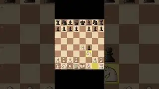 King's Gambit Chess Trap | Trap For Beginners #shorts #chess #trap