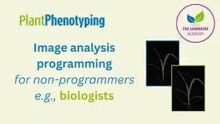 Image Analysis Programming 🌾 📷 💻