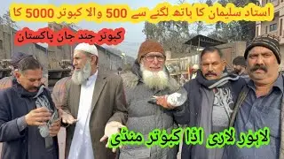 Ustad suleman ka hath lgne se 500 wala kabutar 5000 ka😱 lari addha kabutar mandi 🕊️🤩
