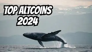 Altseason 2024: Crypto Whale Moves Signal Major Altseason! Top Altcoins to Watch in Altseason