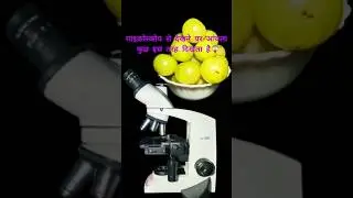 Gooseberry(आंवला) under the microscope 🔬🔬🔬#shorts