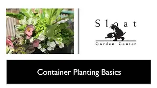 Webinar: Container Planting Basics