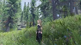 Skyrim Mod: ENB Grass Collisions