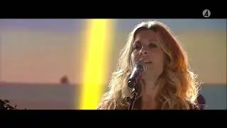 Pernilla Andersson - Koltrast vid Haväng