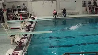 Harper back dive 2.1.26