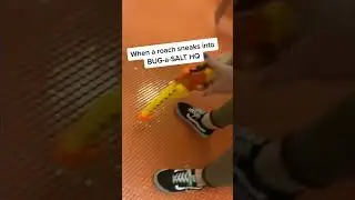 Не то место, где стоит быть, если вы насекомое... #bugasalt #fireyourflyswatter #pestcontrol