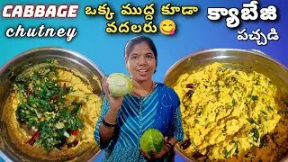 అన్నం లోకి టిఫిన్ లోకి టేస్టీ గా ఉండే క్యాబేజి రోటి పచ్చడి| Cabbage Pachadi in telugu #cabbagerecipe