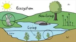Unit 3: Ecosystems | KLU Science