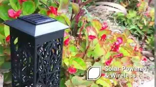 OxyLED Solar Powered LED Garden Pathway Lights, Ideal for Holiday Seasons