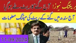 shugarcane meetings information today 2024/Shugarmil information today