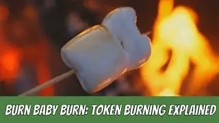 Burn Baby Burn  - Crypto Token Burning Explained