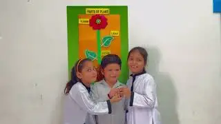 Importance of Plants | Why Plants Are Essential for Life on Earth. 
