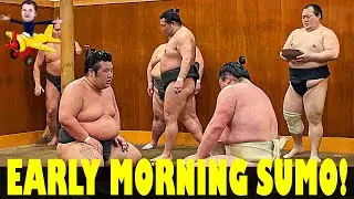Early Morning SUMO Training at Tokitsukaze Stable - Ryogoku Tour in Tokyo! #sumo #travel #tokyo2024
