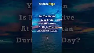 Is Your Brain More Active at Night? Sleep-Time Powerhouse! #science #facts  #trending #viral #foryou