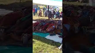 Matatiele- Tholang 2023 Idibala