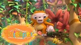Wissper and the rainforest - Wissper