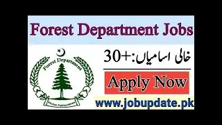 How to apply In Forest Department KPK Jobs 2022 Dir Upper Division Online Form | Forest Department