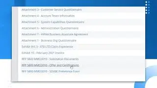 Request for Proposals (RFP): Offer and Certifications